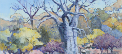 Baobab - Damaraland - Etosha | 2014-15 | Oil on Canvas | 46 x 64 cm